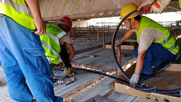 Proyecto de renovación del paso elevado de intercambiado